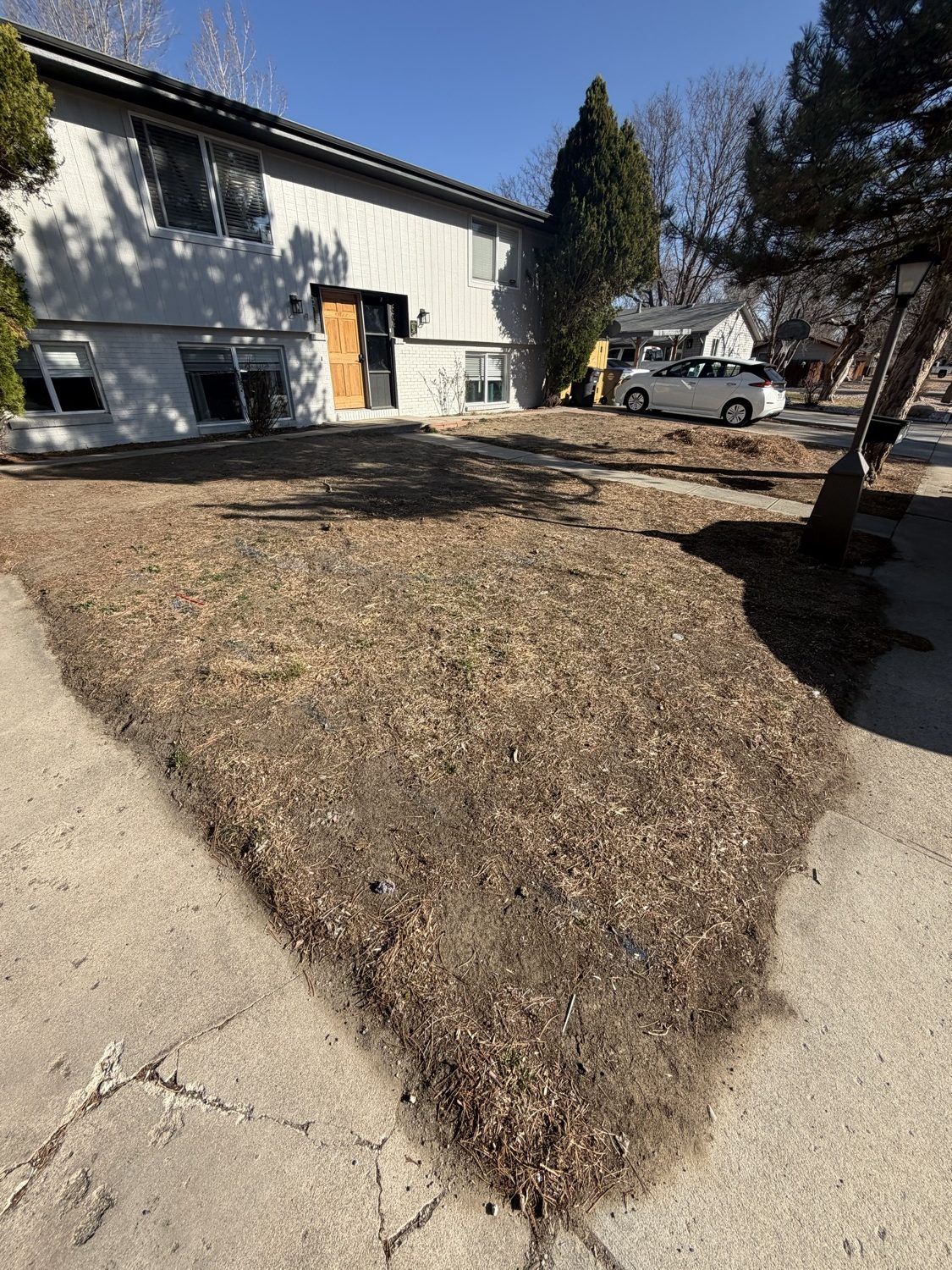 Backyard lawn and retaining wall project